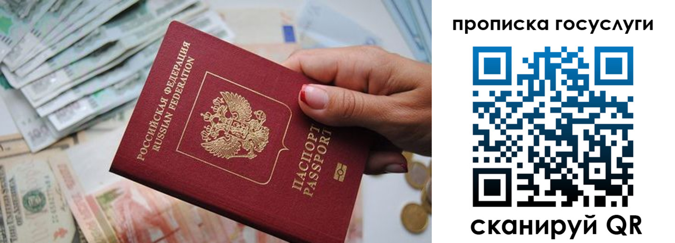 прописка поиск в Тосно